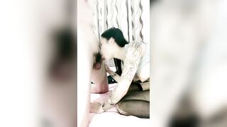 花臂纹身社会姐！炮友激情操逼！抓着屌猛吸，打桩机骑乘位爆操，后入抽插表情一脸享受